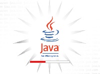  Java